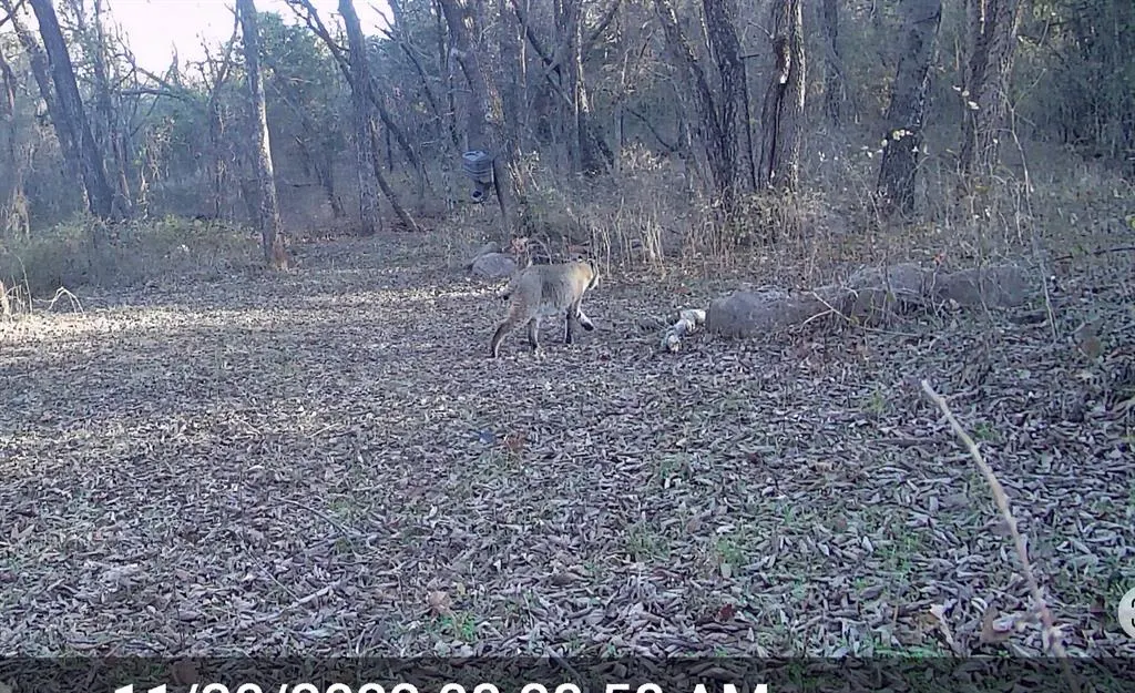 Photo 47 — 342302 E 1070 Road, Meeker, OK 74855