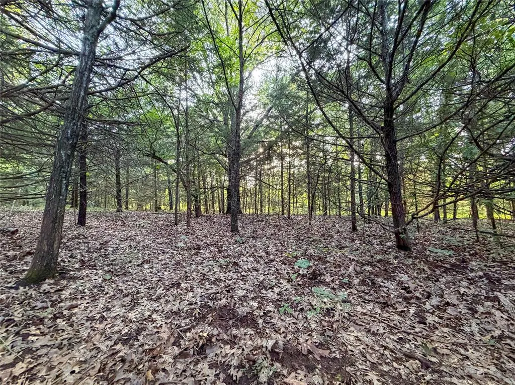 Photo 6 — N 3470 Road, Sparks, OK 74869