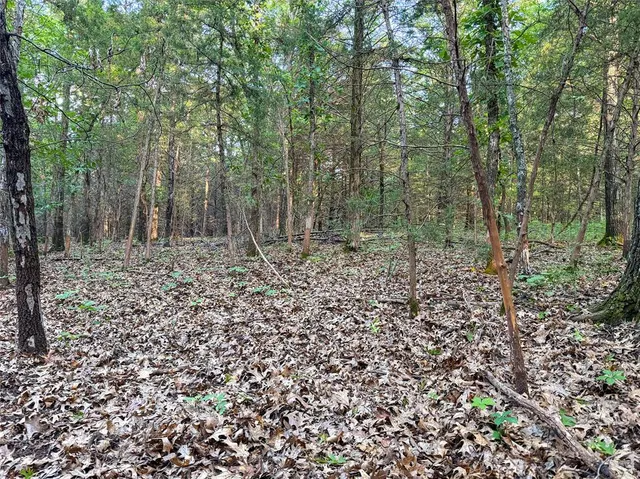 Photo 7 — N 3470 Road, Sparks, OK 74869