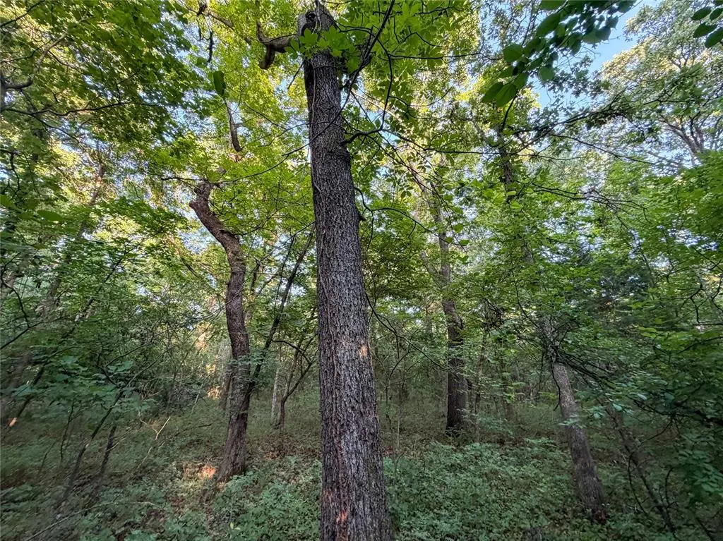 Photo 11 — N 3470 Road, Sparks, OK 74869