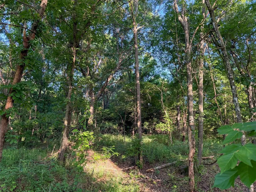 Photo 12 — N 3470 Road, Sparks, OK 74869