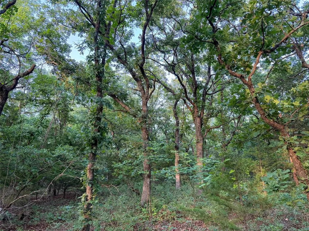 Photo 15 — N 3470 Road, Sparks, OK 74869