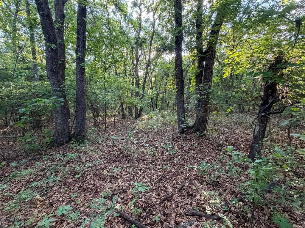 Photo 11 — N 3470 Road, Sparks, OK 74869