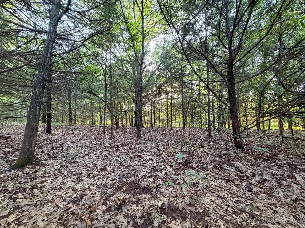 Photo 25 — N 3470 Road, Sparks, OK 74869