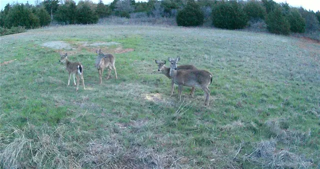 Photo 2 — 800558 S 3290 Road, Wellston, OK 74881
