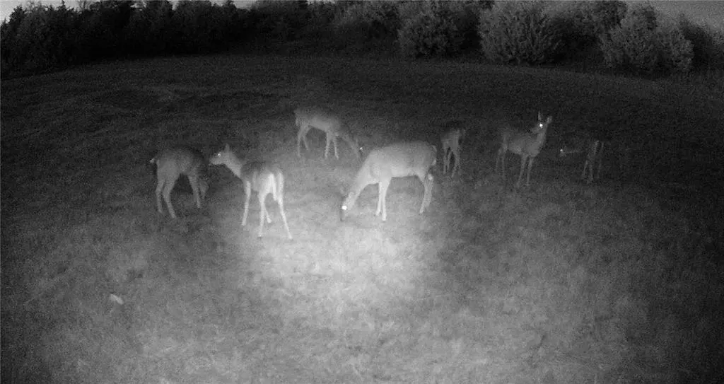 Photo 18 — 800558 S 3290 Road, Wellston, OK 74881