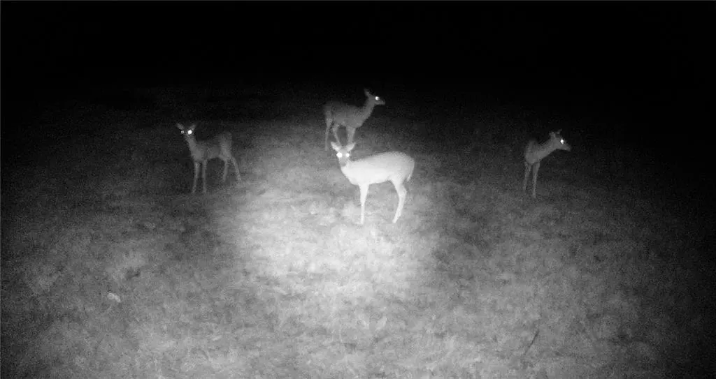 Photo 32 — 800558 S 3290 Road, Wellston, OK 74881