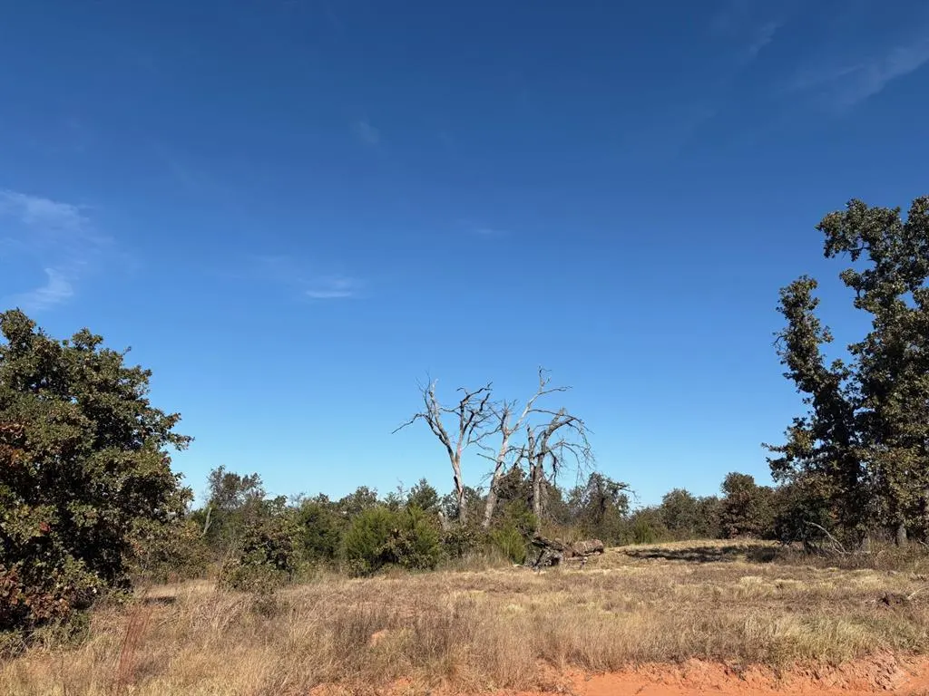 Photo 3 — 19491 Mooseville Drive, Noble, OK 73068