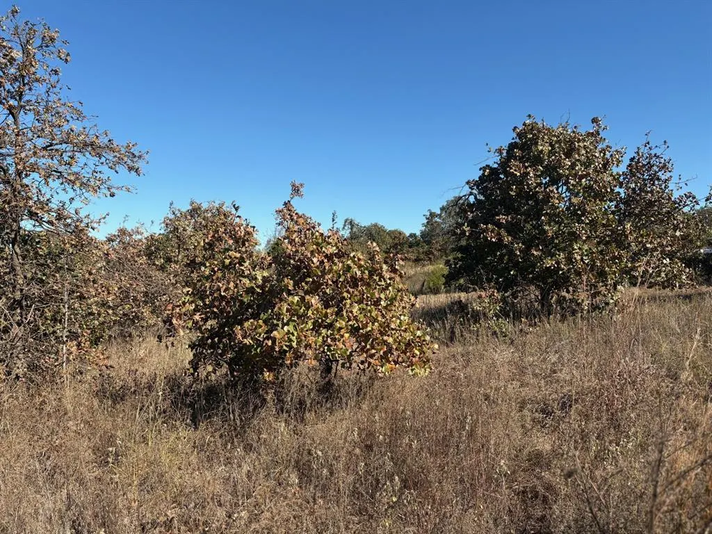 Photo 4 — 19491 Mooseville Drive, Noble, OK 73068