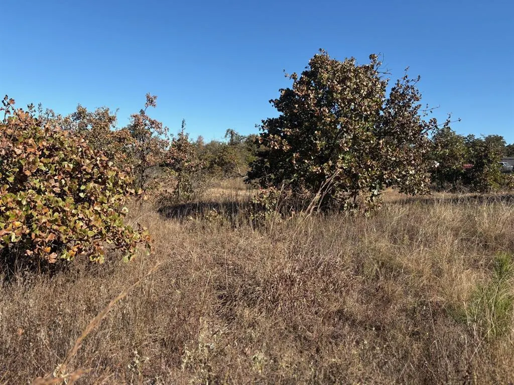 Photo 5 — 19491 Mooseville Drive, Noble, OK 73068