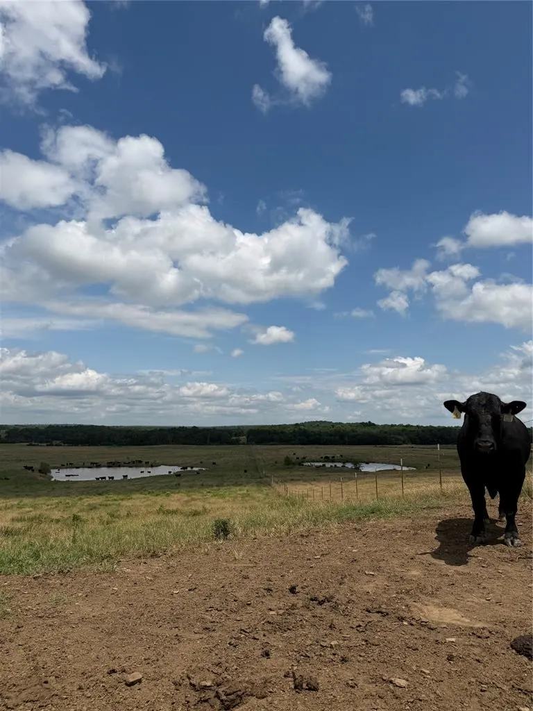 Photo 5 — 0001 E County Rd 1310 Road, McCurtain, OK 74944
