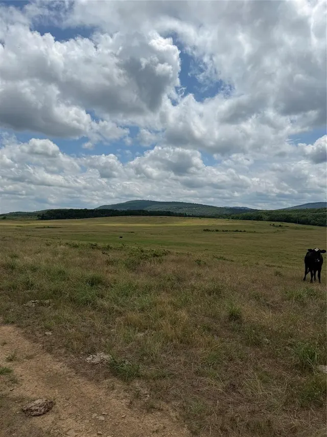 Photo 8 — 0001 E County Rd 1310 Road, McCurtain, OK 74944