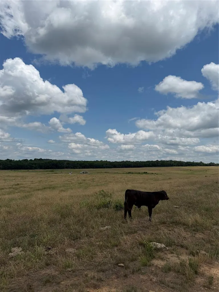 Photo 11 — 0001 E County Rd 1310 Road, McCurtain, OK 74944