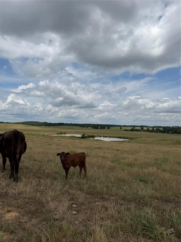 Photo 13 — 0001 E County Rd 1310 Road, McCurtain, OK 74944