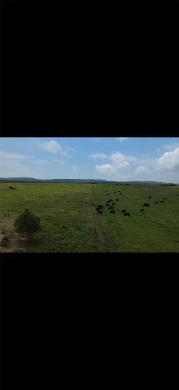 Photo 4 — 0001 E County Rd 1310 Road, McCurtain, OK 74944