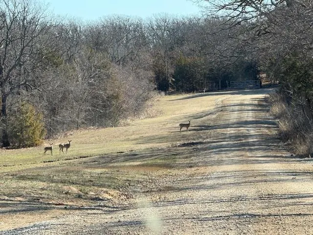 Photo 4 — E 136 Road, Holdenville, OK 74848