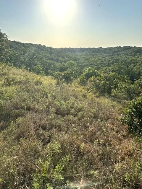 Photo 20 — E 136 Road, Holdenville, OK 74848