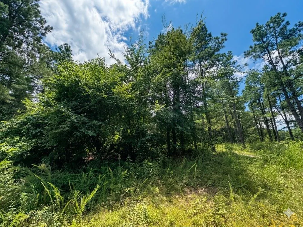 Front exterior — 18 Boulder Path, Hochatown, OK 74728