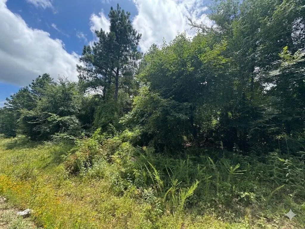 Photo 2 — 18 Boulder Path, Hochatown, OK 74728