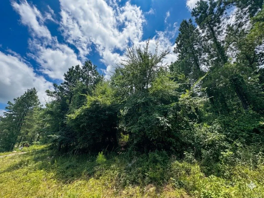 Photo 3 — 18 Boulder Path, Hochatown, OK 74728