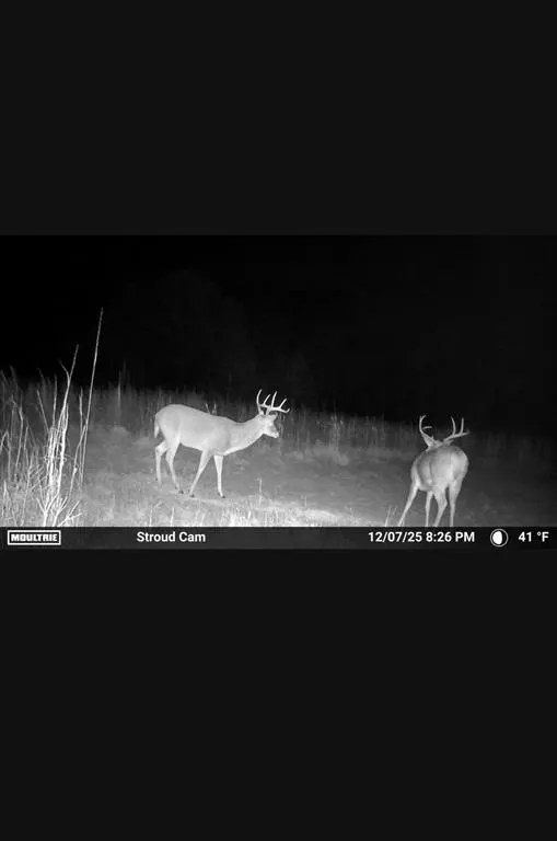 Photo 5 — 930350 S 3540 Road, Stroud, OK 74079