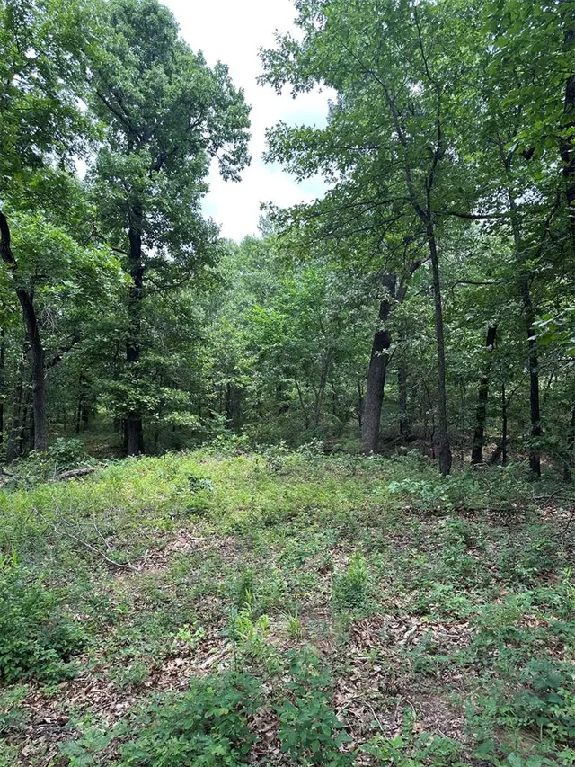 Photo 2 — 14311 Indian Ridge, Newalla, OK 74857