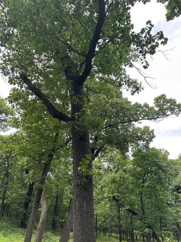 Photo 3 — 14311 Indian Ridge, Newalla, OK 74857