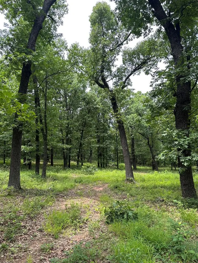 Photo 4 — 14311 Indian Ridge, Newalla, OK 74857