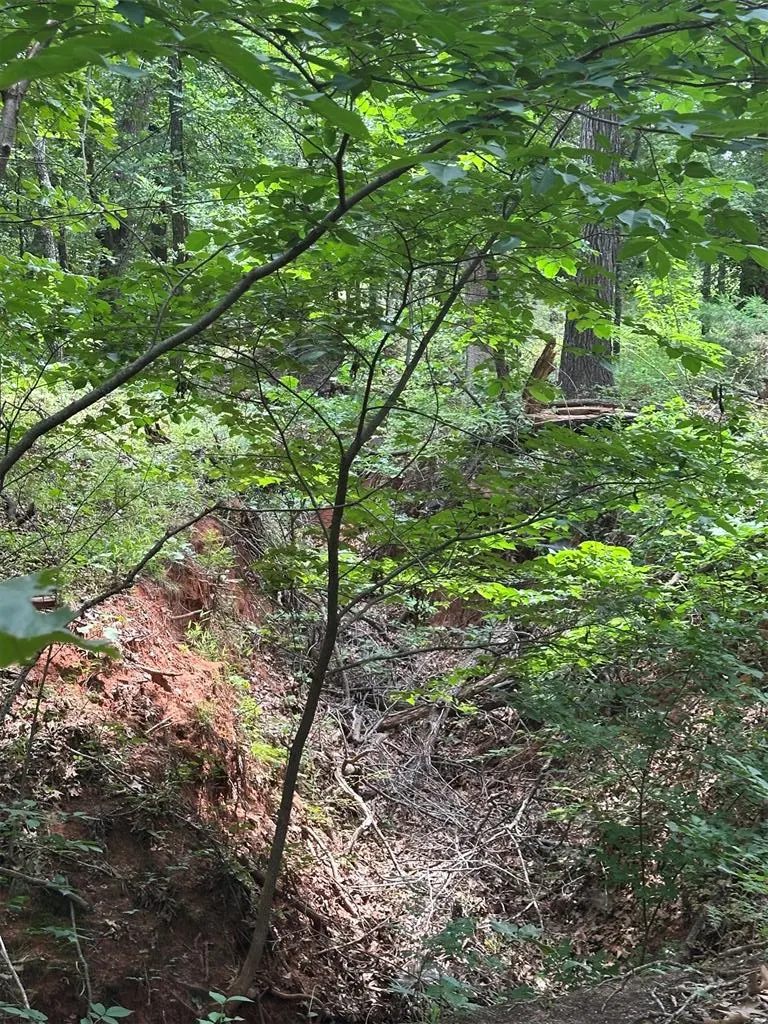 Photo 6 — 14311 Indian Ridge, Newalla, OK 74857