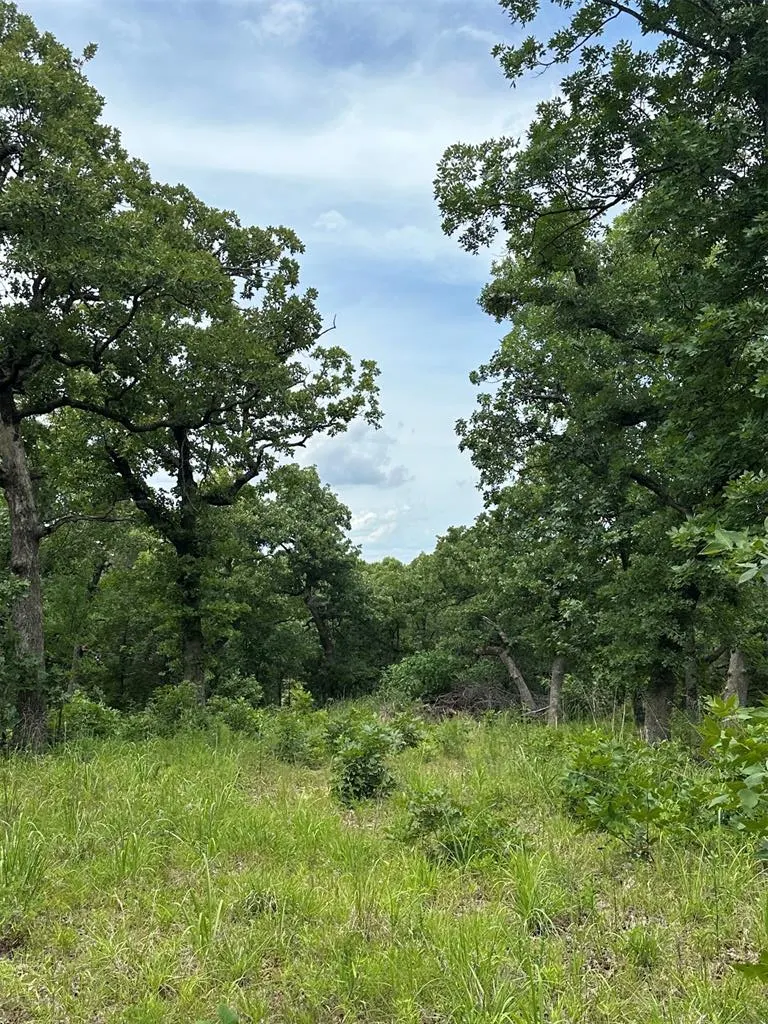 Photo 2 — 14314 Indian Ridge, Newalla, OK 74857