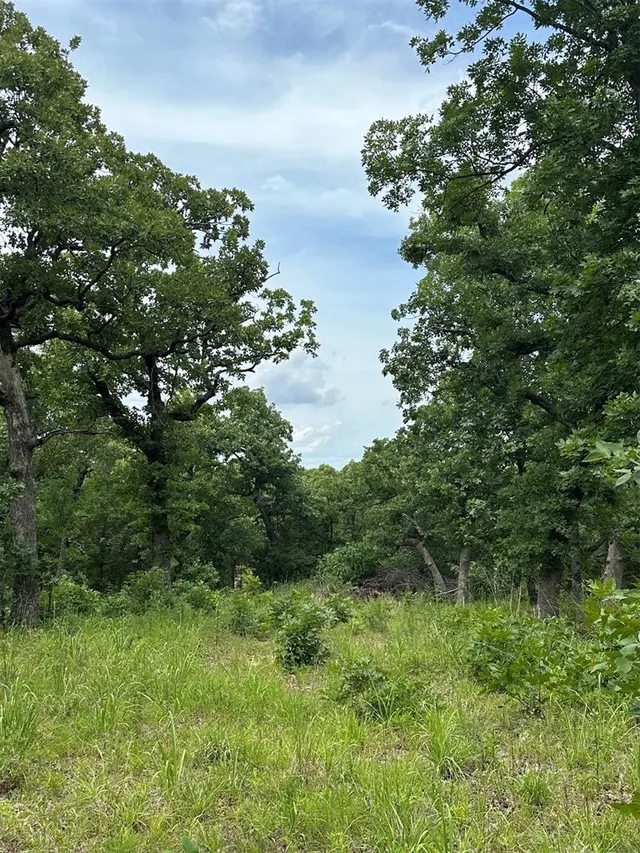 Photo 2 — 14314 Indian Ridge, Newalla, OK 74857