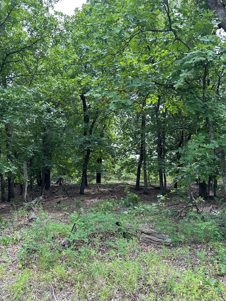 Photo 3 — 14314 Indian Ridge, Newalla, OK 74857