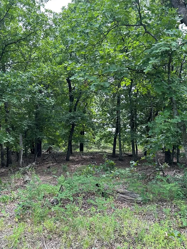Photo 3 — 14314 Indian Ridge, Newalla, OK 74857