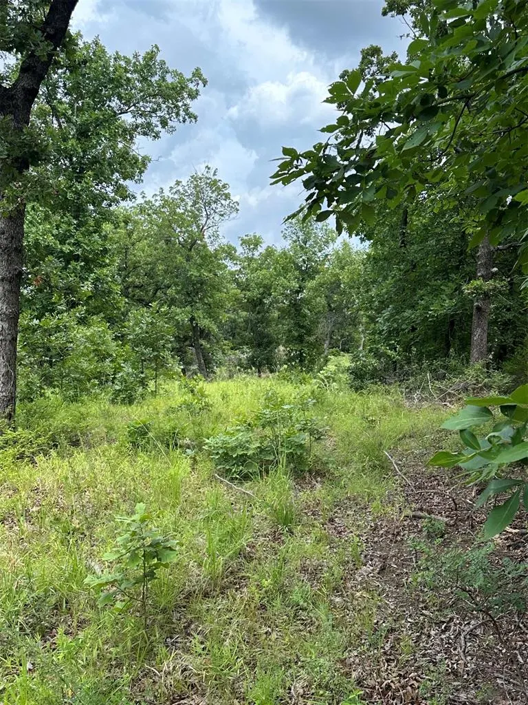 Photo 4 — 14314 Indian Ridge, Newalla, OK 74857