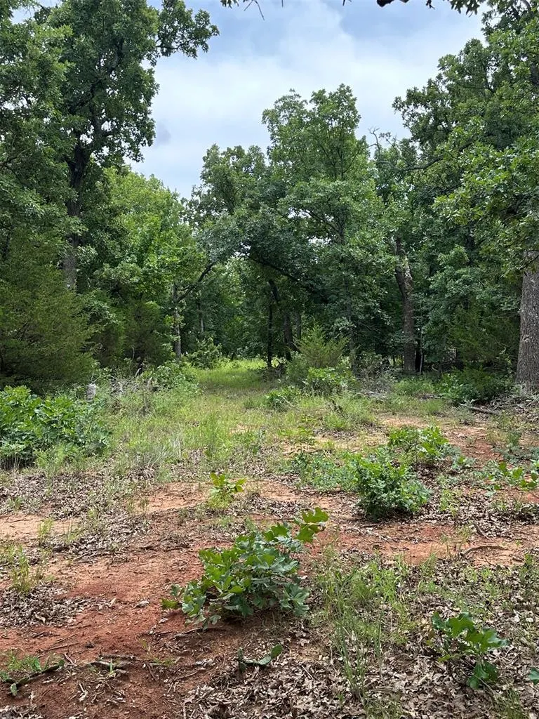 Photo 5 — 14314 Indian Ridge, Newalla, OK 74857