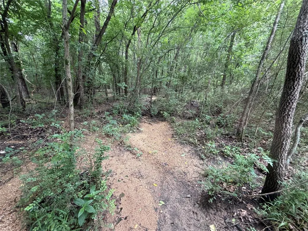 Photo 10 — 0000 EW 1240 Road, Wewoka, OK 74884