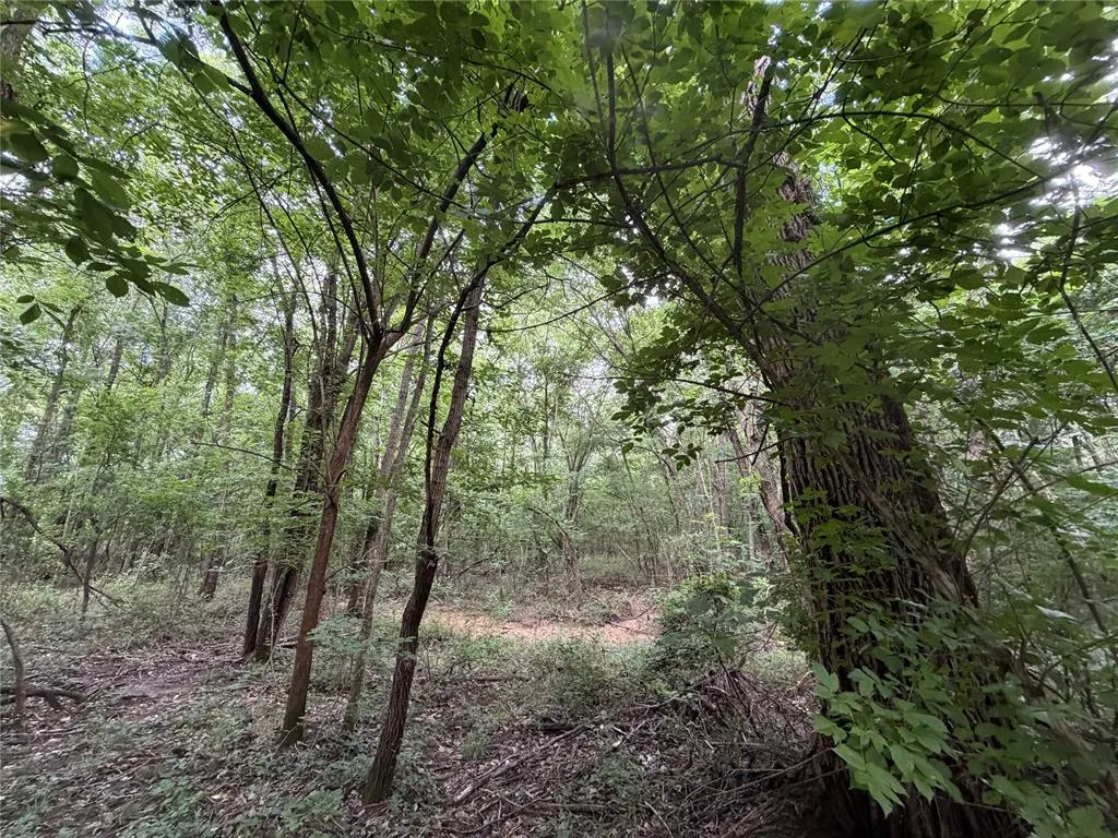 Photo 13 — 0000 EW 1240 Road, Wewoka, OK 74884