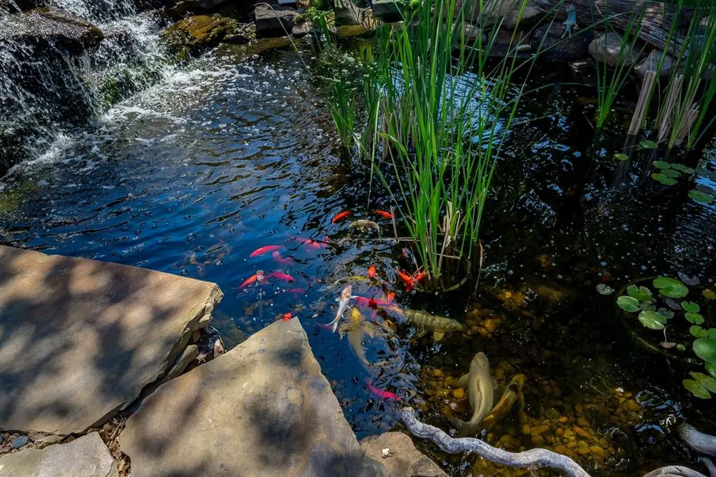 Photo 47 — 809 Fox Run Trail, Edmond, OK 73034