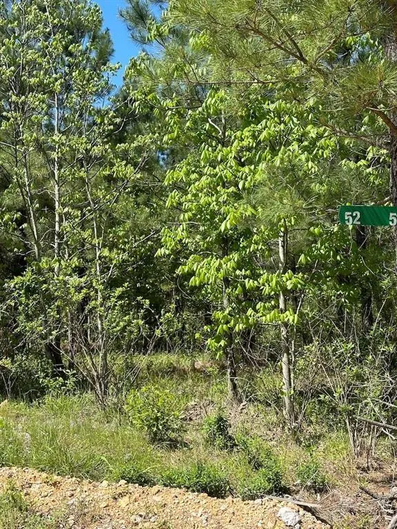 Photo 3 — 135 Crooked Stick Trail, Broken Bow, OK 74728