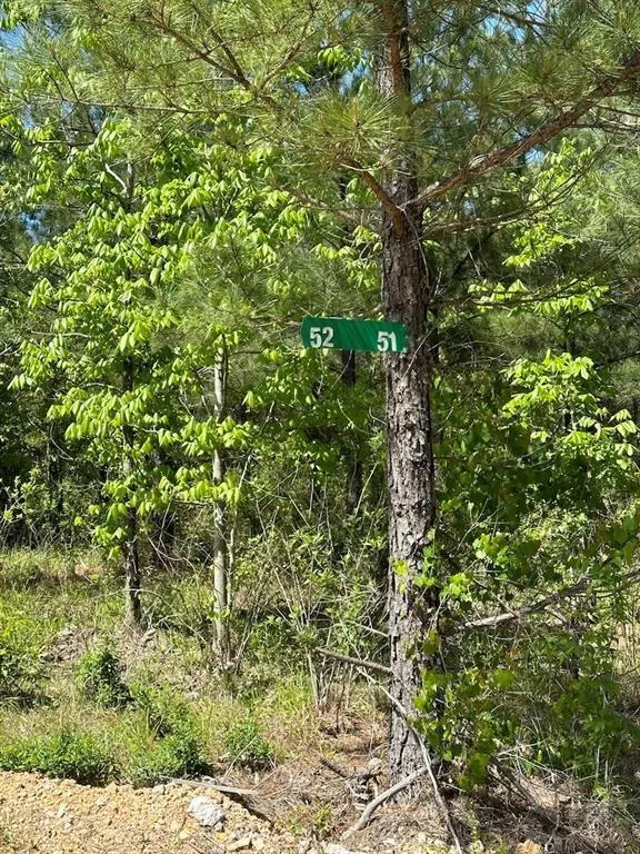 Photo 4 — 135 Crooked Stick Trail, Broken Bow, OK 74728