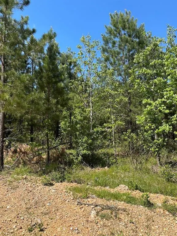 Photo 5 — 135 Crooked Stick Trail, Broken Bow, OK 74728