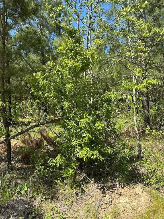 Photo 6 — 135 Crooked Stick Trail, Broken Bow, OK 74728