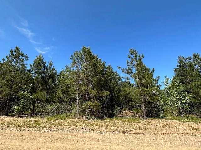 Photo 7 — 135 Crooked Stick Trail, Broken Bow, OK 74728
