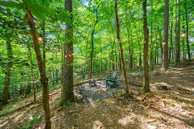 Photo 3 — 122 Sherwood Forest Lane, Broken Bow, OK 74728-7424