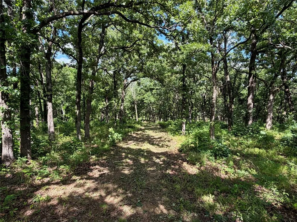 Photo 30 — 1 W 53rd North Street, Tulsa, OK 74126