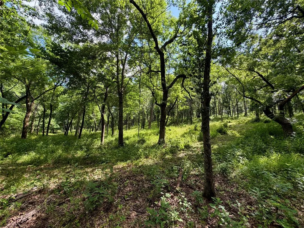 Photo 39 — 1 W 53rd North Street, Tulsa, OK 74126