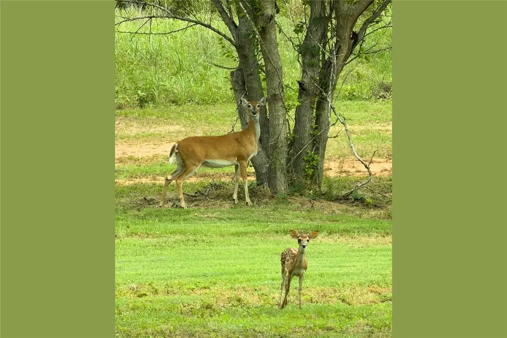 Photo 49 — 12300 S Hiwassee Road, Oklahoma City, OK 73165