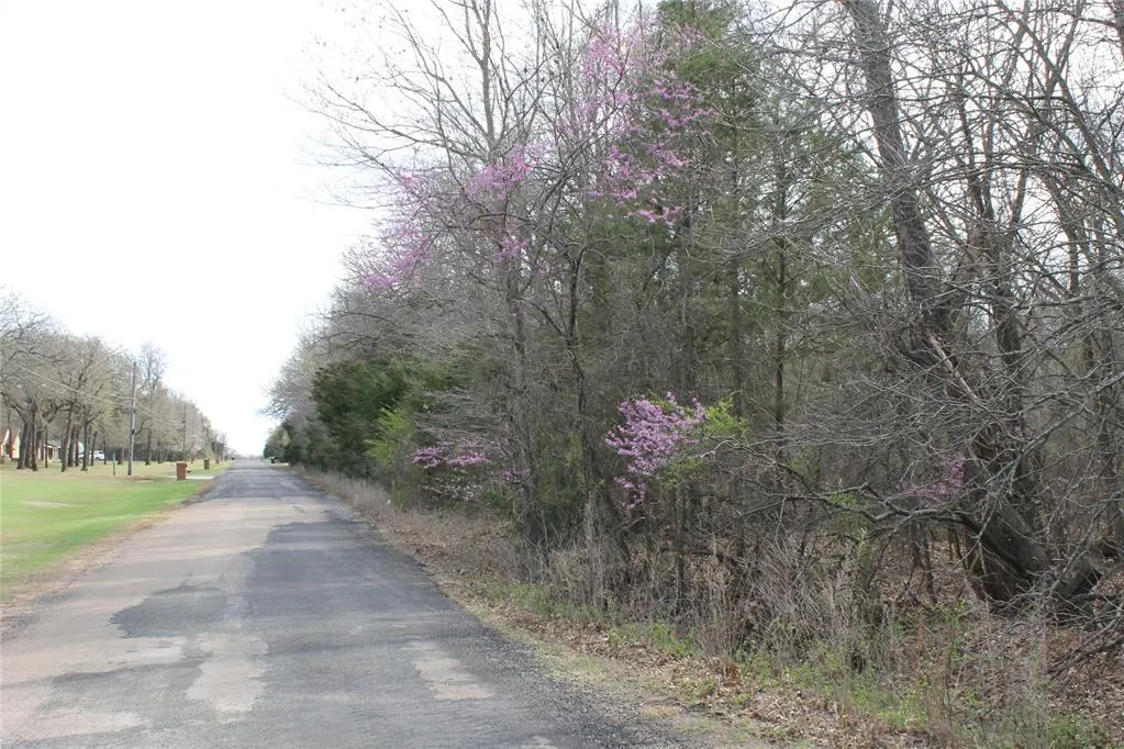 Photo 2 — Whispering Oaks Road, Tecumseh, OK 74873