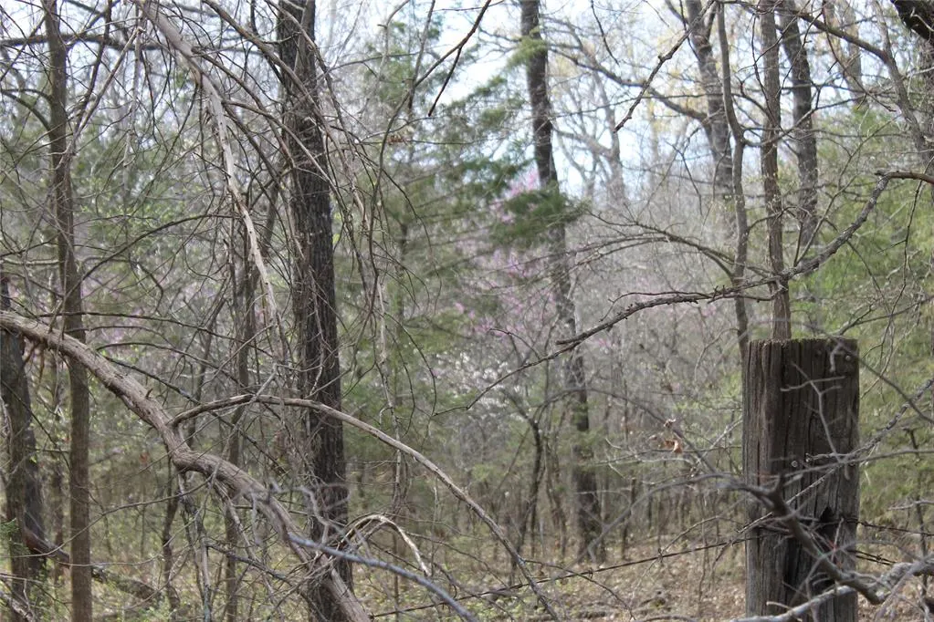 Photo 3 — Whispering Oaks Road, Tecumseh, OK 74873