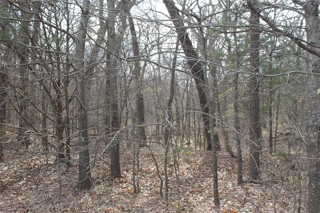 Photo 4 — Whispering Oaks Road, Tecumseh, OK 74873